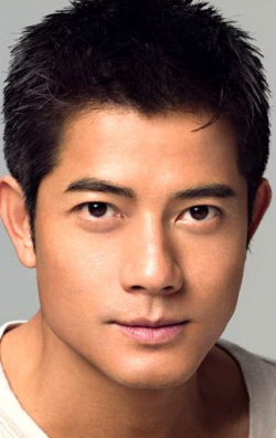 Full Aaron Kwok filmography who acted in the animated movie Tian xia  (serial 1988-1990).