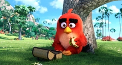 Angry Birds photo from the set.