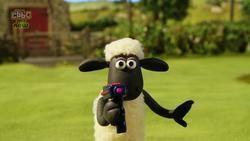Shaun the Sheep photo from the set.