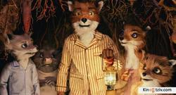 Fantastic Mr. Fox photo from the set.