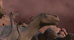 Dinosaur photo from the set.