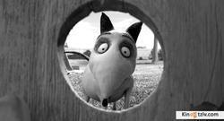 Frankenweenie photo from the set.