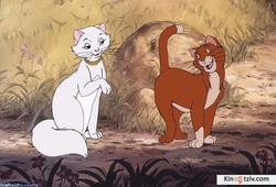 The AristoCats photo from the set.