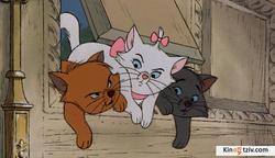 The AristoCats photo from the set.