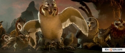 Legend of the Guardians: The Owls of Ga’Hoole photo from the set.