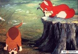 The Fox and the Hound photo from the set.