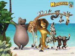 Madagascar photo from the set.