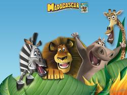Madagascar photo from the set.
