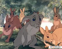 Watership Down photo from the set.