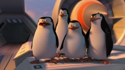 The Penguins of Madagascar photo from the set.