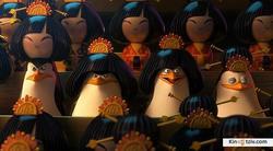 Penguins of Madagascar photo from the set.