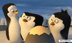 Penguins of Madagascar photo from the set.