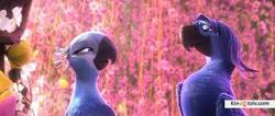 Rio 2 photo from the set.