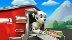 PAW Patrol photo from the set.