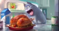 The Secret Life of Pets photo from the set.