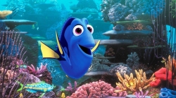Finding Dory photo from the set.