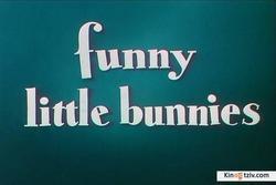 Funny Little Bunnies photo from the set.