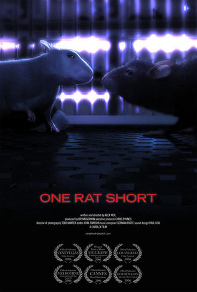 Animated movie One Rat Short poster