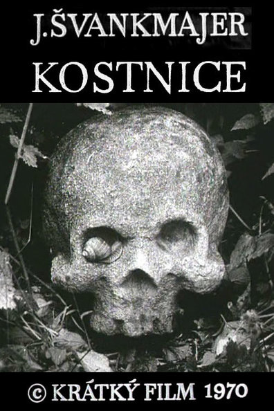 Animated movie Kostnice poster
