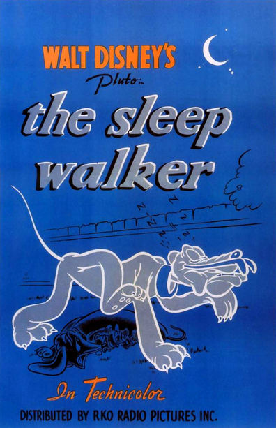 Animated movie The Sleepwalker poster