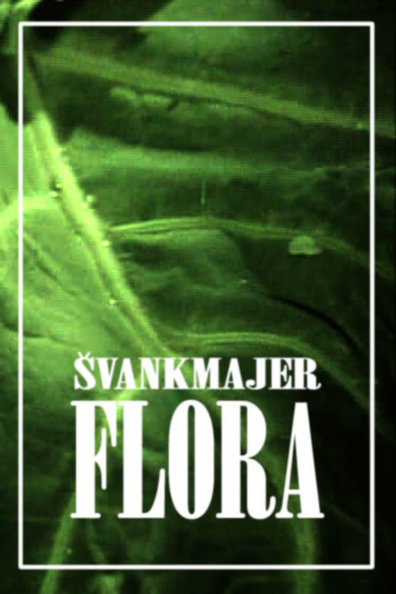 Animated movie Flora poster