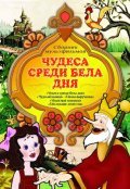 Animated movie Chudesa sredi bela dnya poster