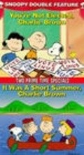 Animated movie It Was a Short Summer, Charlie Brown poster