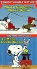 Animated movie What a Nightmare, Charlie Brown! poster