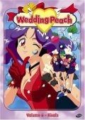 Animated movie Wedding Peach poster