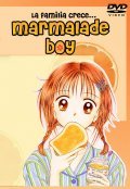 Animated movie Marmalade Boy poster