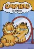 Animated movie Garfield on the Town poster