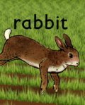 Animated movie Rabbit poster