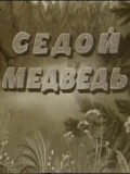 Animated movie Sedoy medved poster