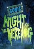 Animated movie Sonic: Night of the Werehog poster
