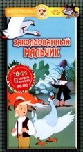 Animated movie Zakoldovannyiy malchik poster