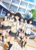 Animated movie Amagami SS Plus poster