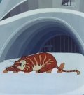 Animated movie Babochka i tigr poster