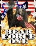 Animated movie Bear Force One poster