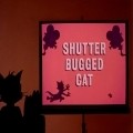 Animated movie Shutter Bugged Cat poster
