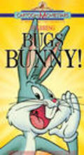 Animated movie Buccaneer Bunny poster
