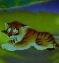 Animated movie Tigrenok na podsolnuhe poster