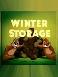 Animated movie Winter Storage poster